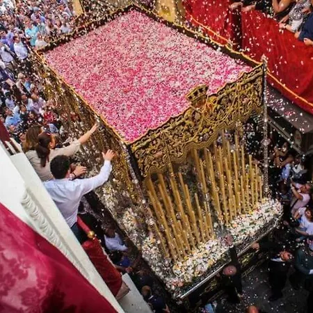 Bajo Gerona Seville