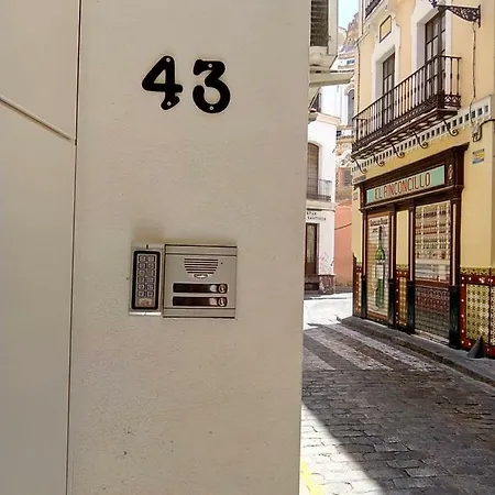 Bajo Gerona Seville
